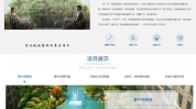 石家庄网站设计,打造创意与实用并重的网络品牌形象