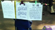 四川仪陇征婚启事,寻觅真挚伴侣，共筑美好未来